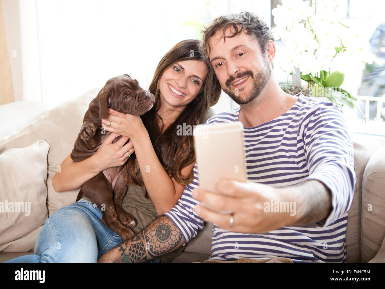 Couple sitting with Olde English Bulldogge on the couch taking a selfie with smartphone Stock Photo