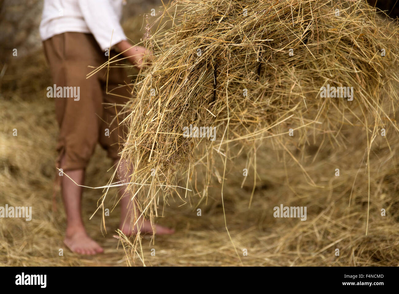 Man working in barn hi-res stock photography and images - Alamy