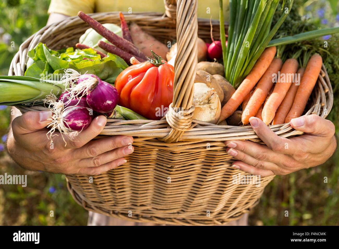 Man vegetables basket hi-res stock photography and images - Alamy