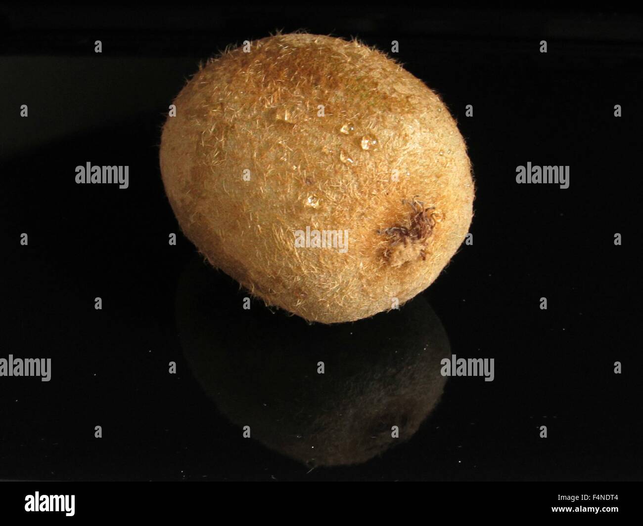 A macro shot of a kiwi with droplets of water on its surface, on a ...