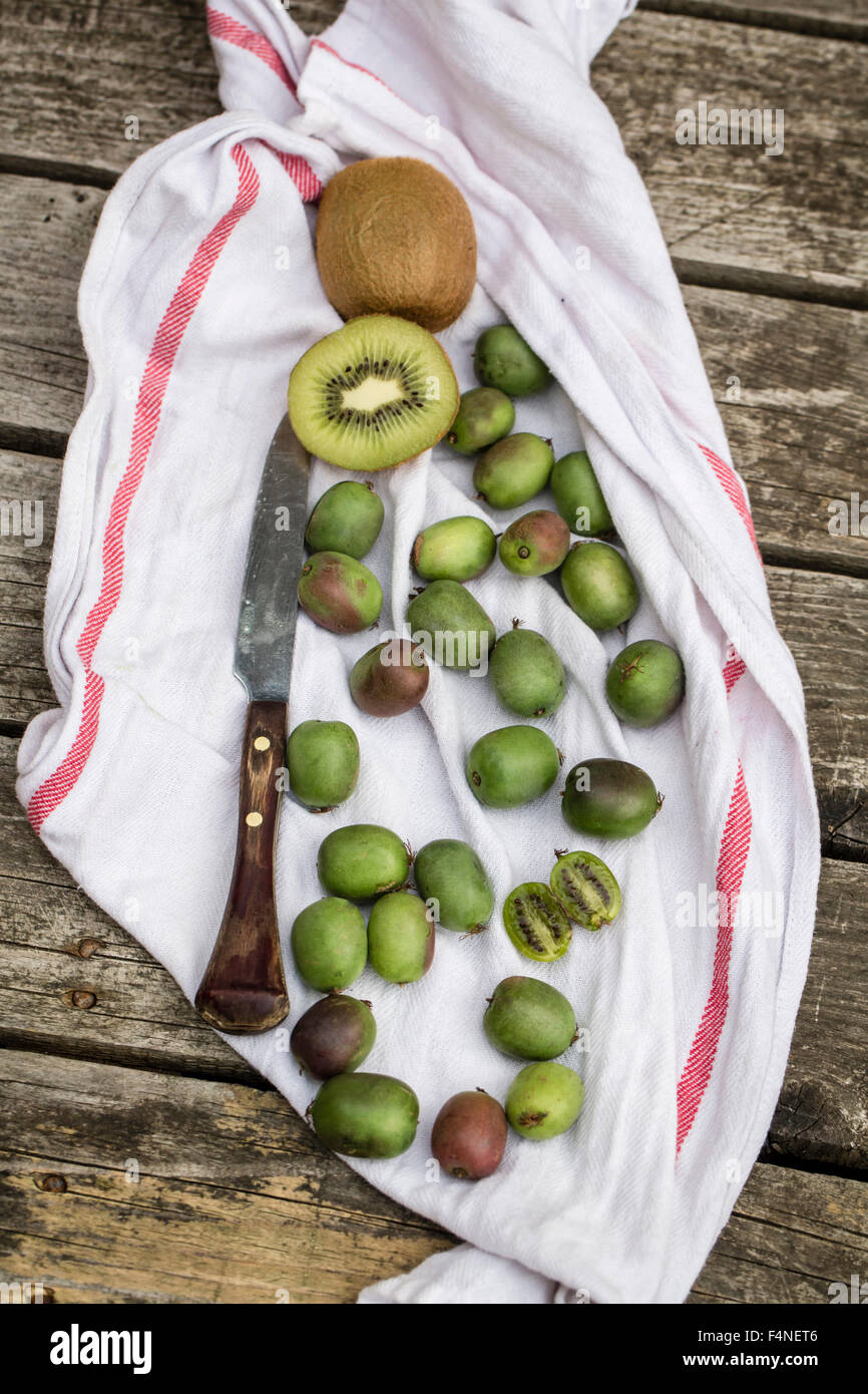 Hardy kiwis hi-res stock photography and images - Alamy