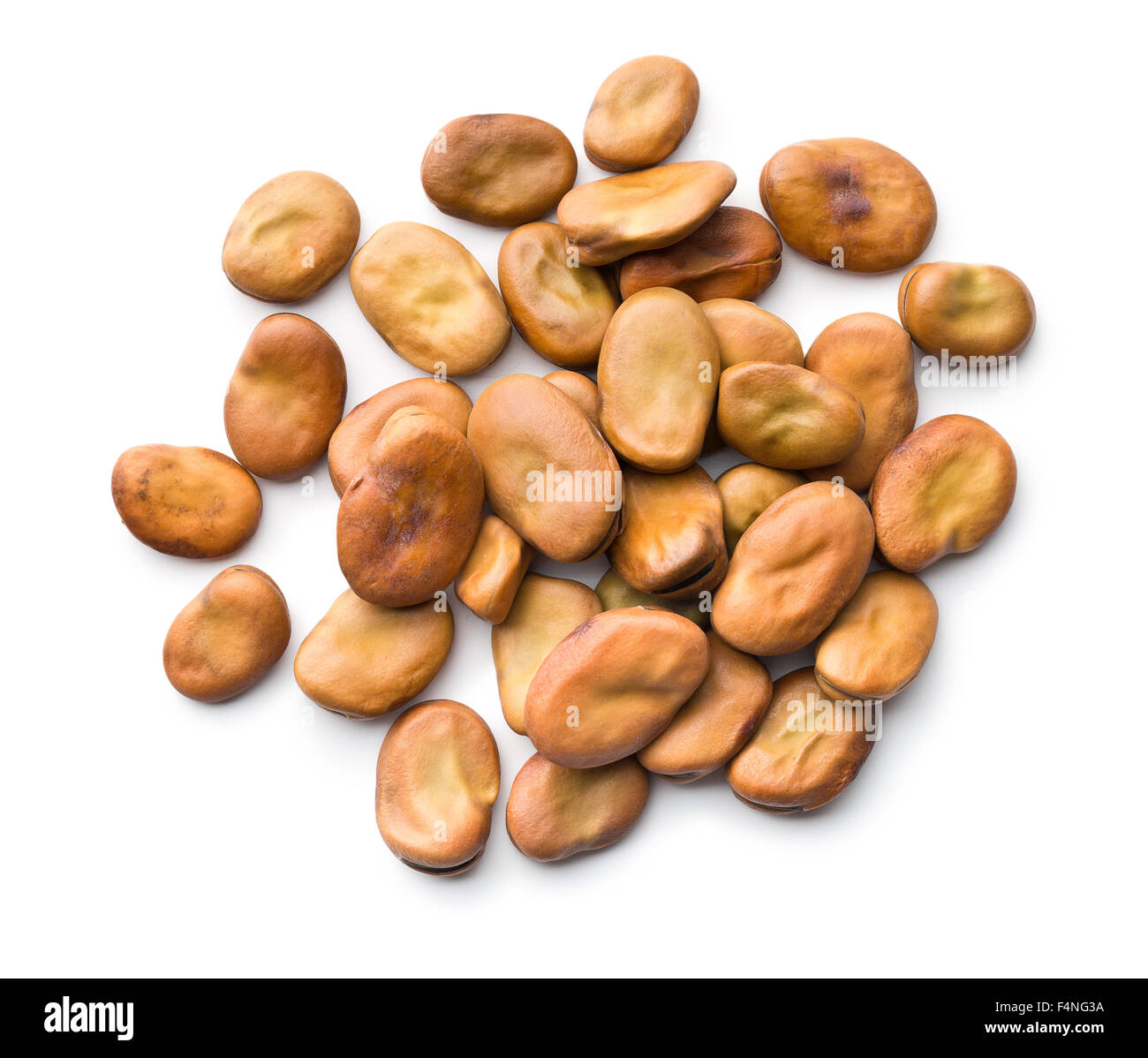 Dried Broad Beans On White Background Stock Photo Alamy   Dried Broad Beans On White Background F4NG3A 