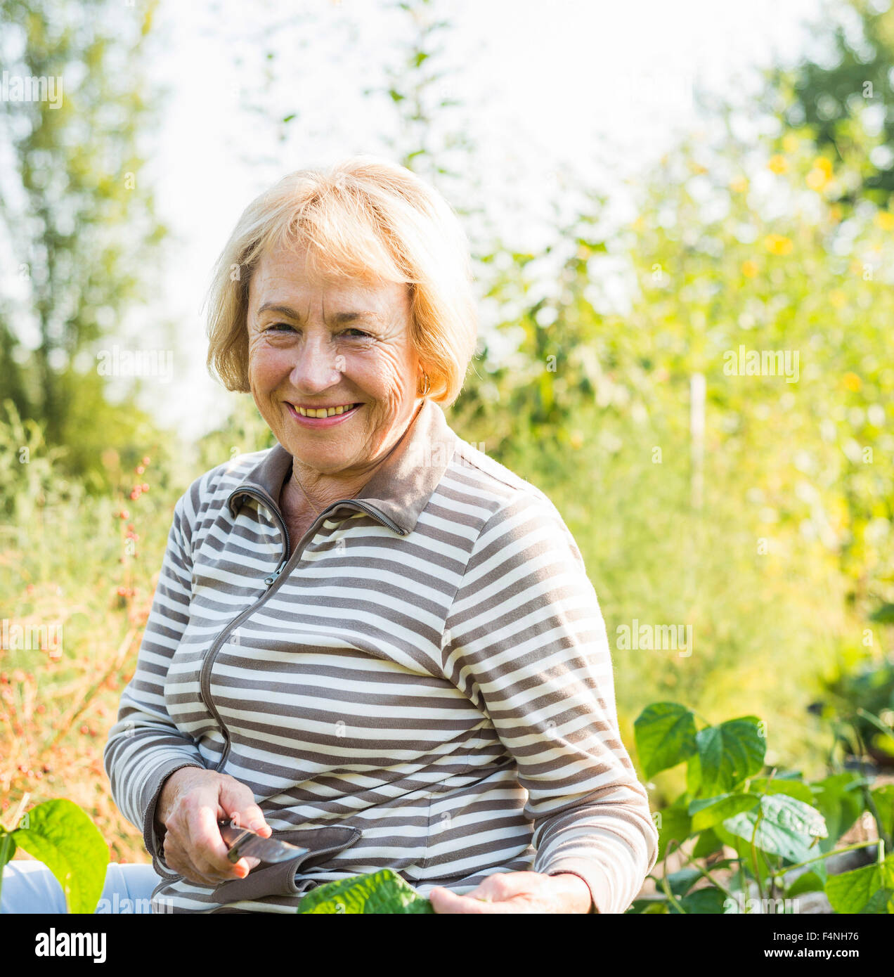 Portrait of smiling senior woman in garden Stock Photo - Alamy