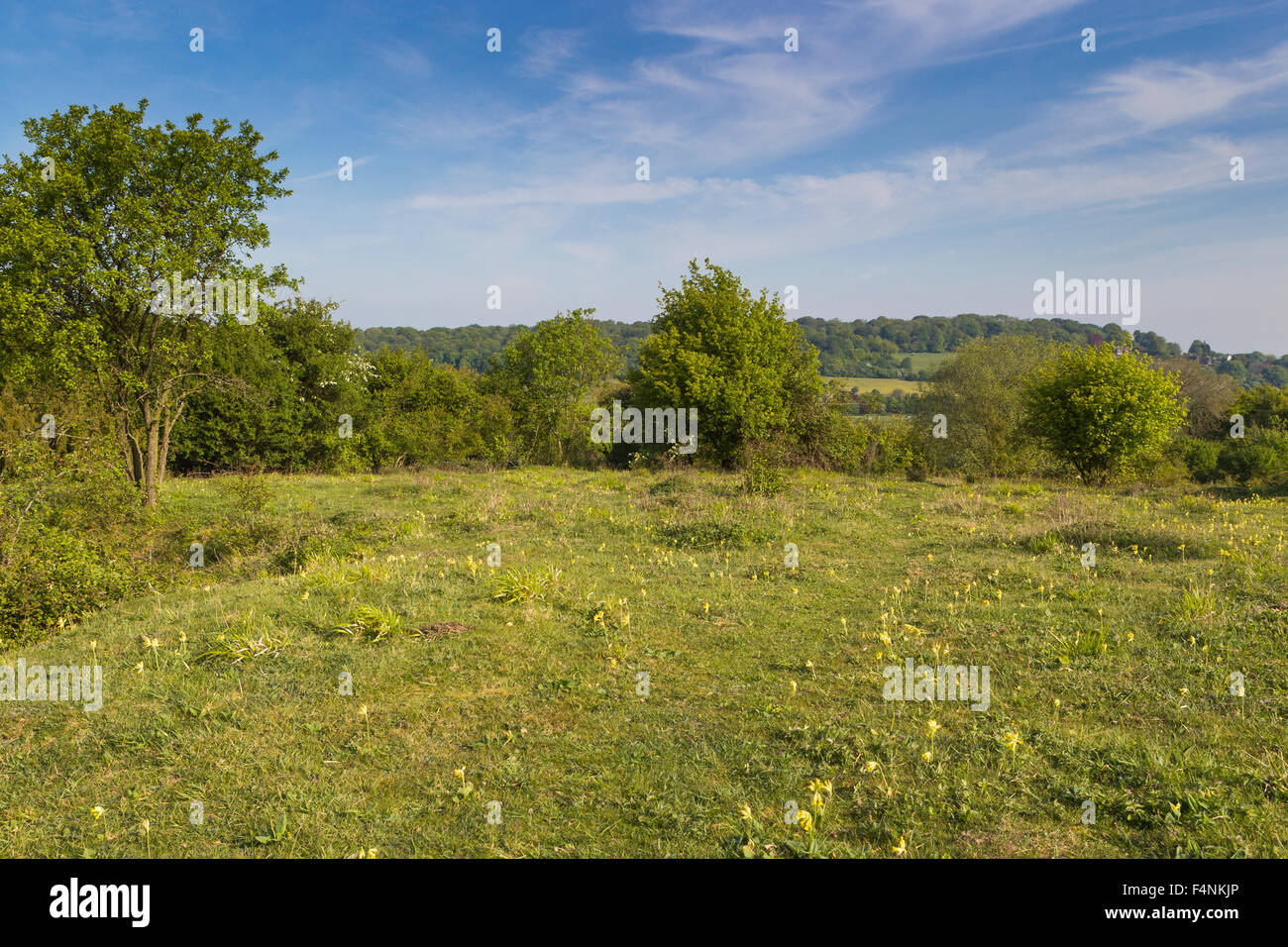 Landscape view of Noar Hill nature reserve and undulating quarrying, Noar HIll, Hampshire, UK in May 2011. Stock Photo