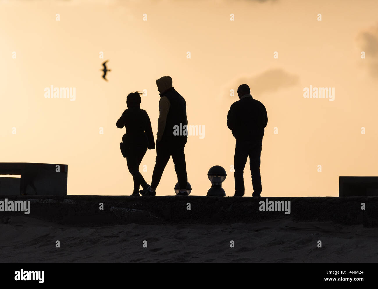 Silhouettes of people. Stock Photo