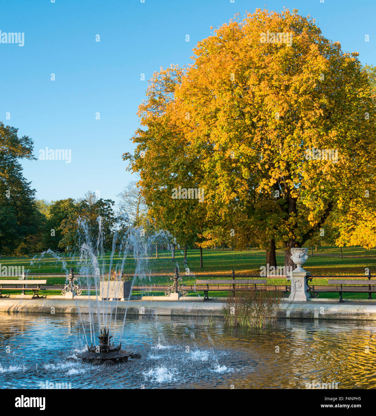 The Italian Gardens, Ornamental water gardens, Kensington Gardens