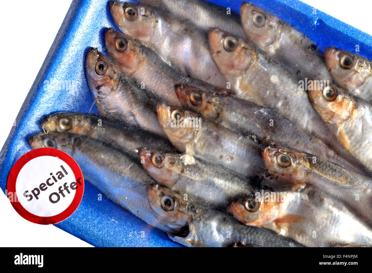 Sprats bought from a supermarket (Morrisons) Stock Photo