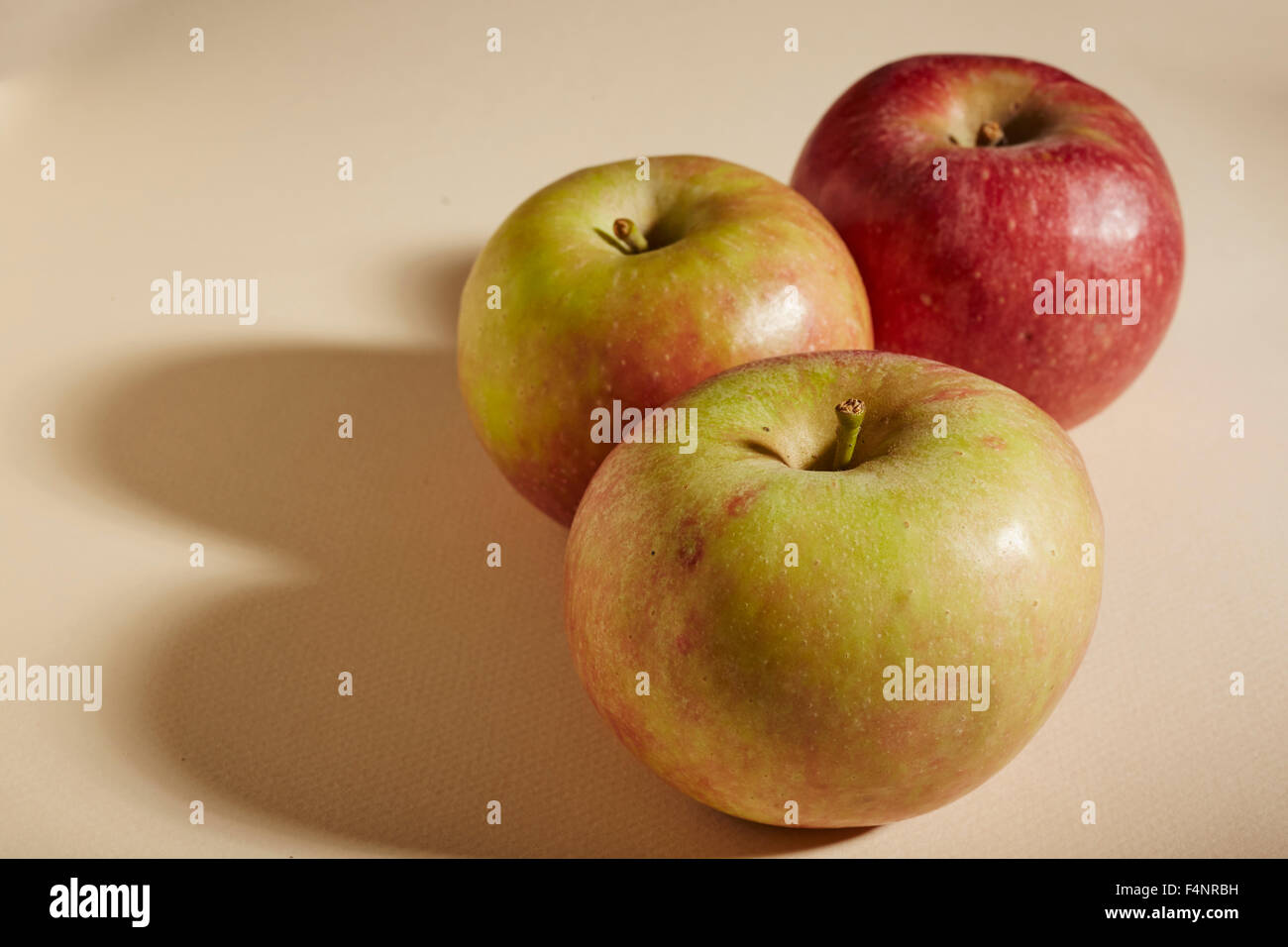 Stayman Apples, a traditional American variety from Lancaster County, Pennsylvania, USA Stock Photo