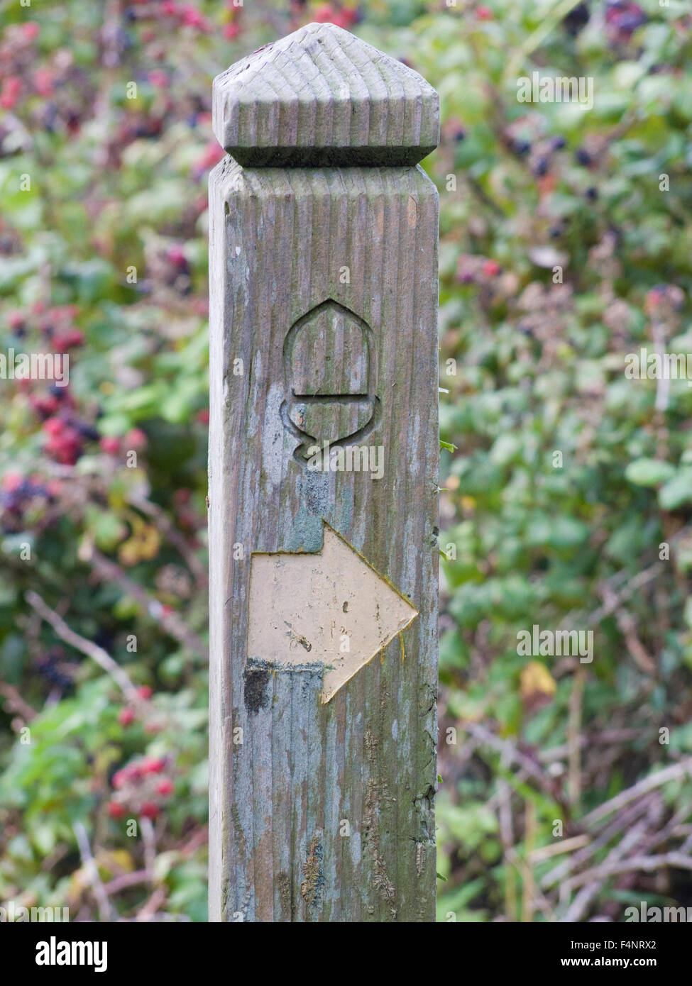 Directional Marker Post for the South West Coast Path, Lizard Peninsula