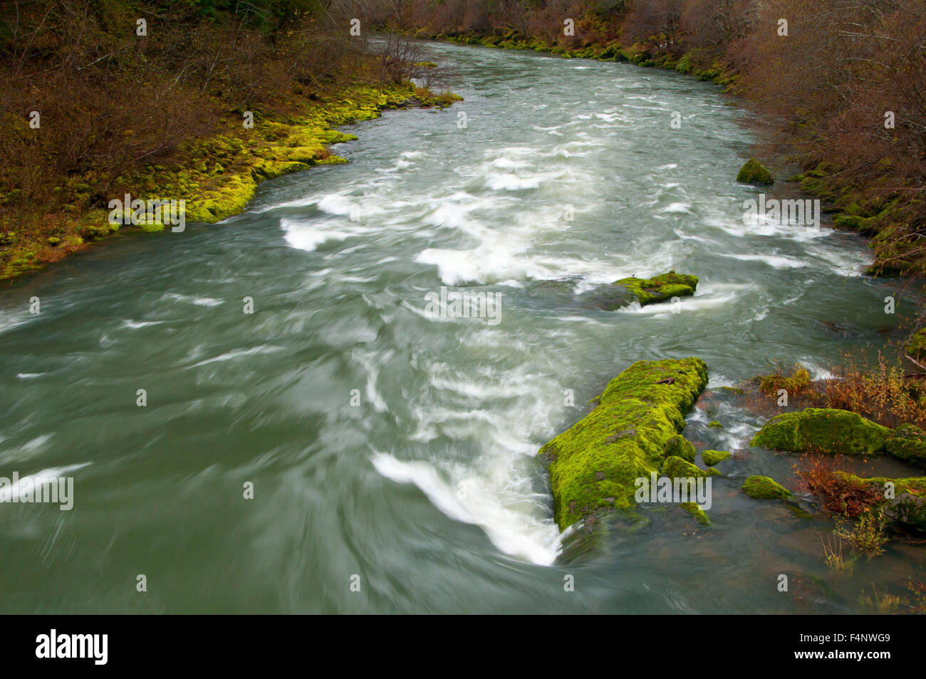 North Umpqua River from North Umpqua River National Recreation Trail, Umpqua National Forest