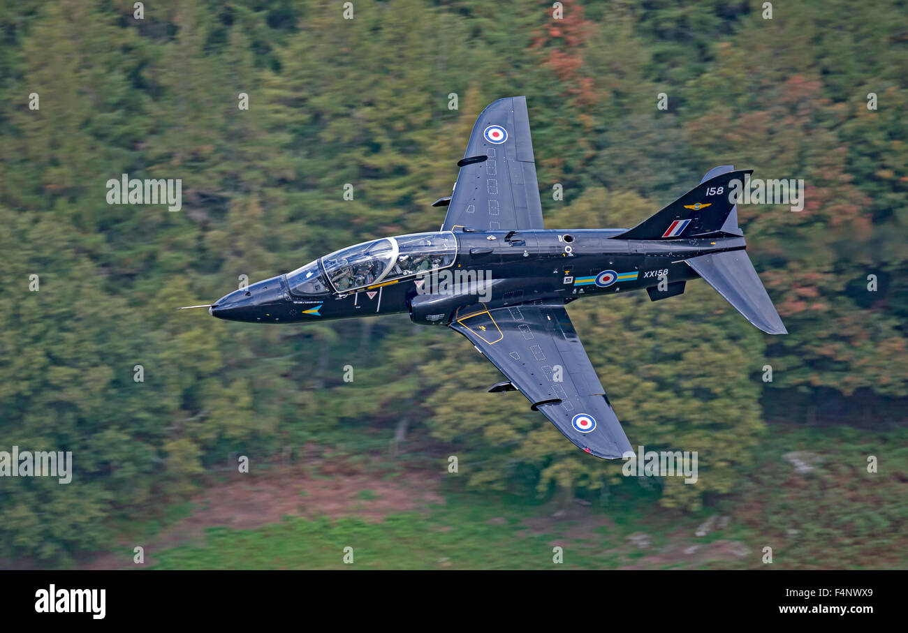 RAF Hawk T1 aircraft low level flying in Wales Stock Photo - Alamy