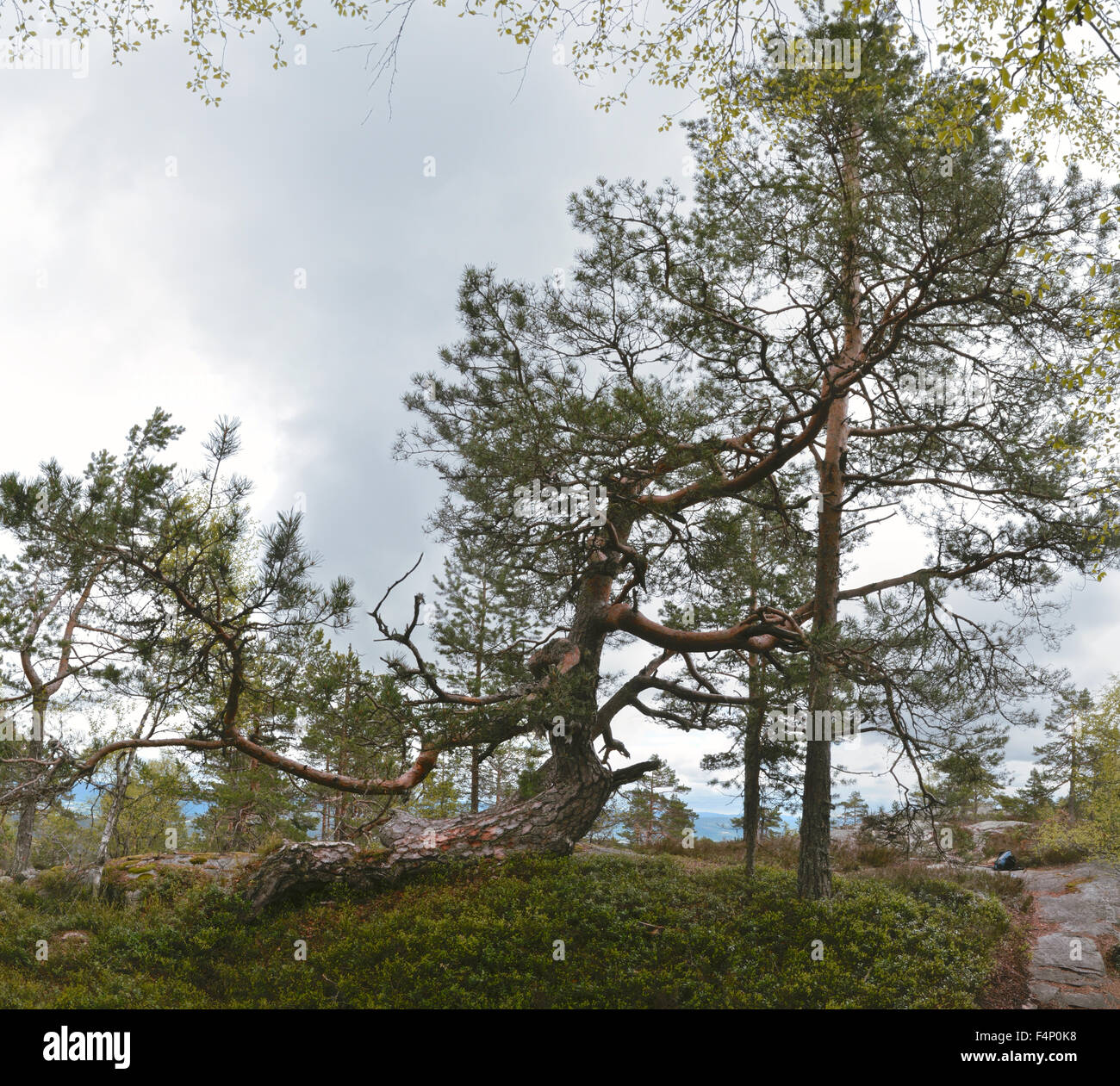 Scenic panorama of rocky landscape in Gygrestolen, Norway Stock Photo