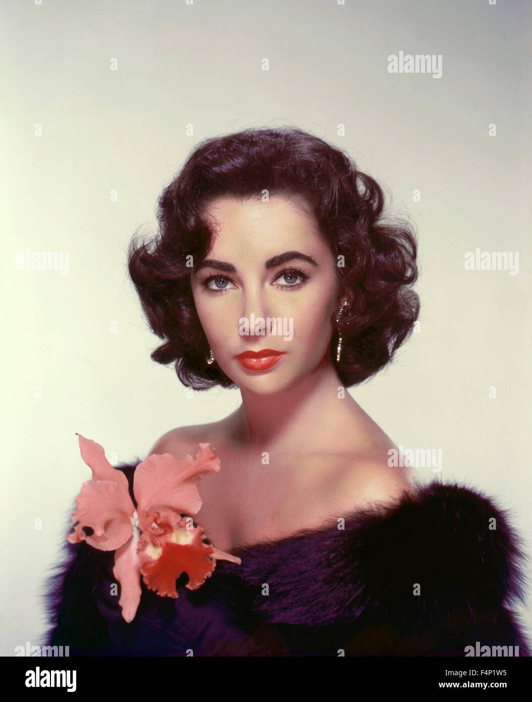 Elizabeth Taylor Stock Photos & Elizabeth Taylor Stock Images - Alamy