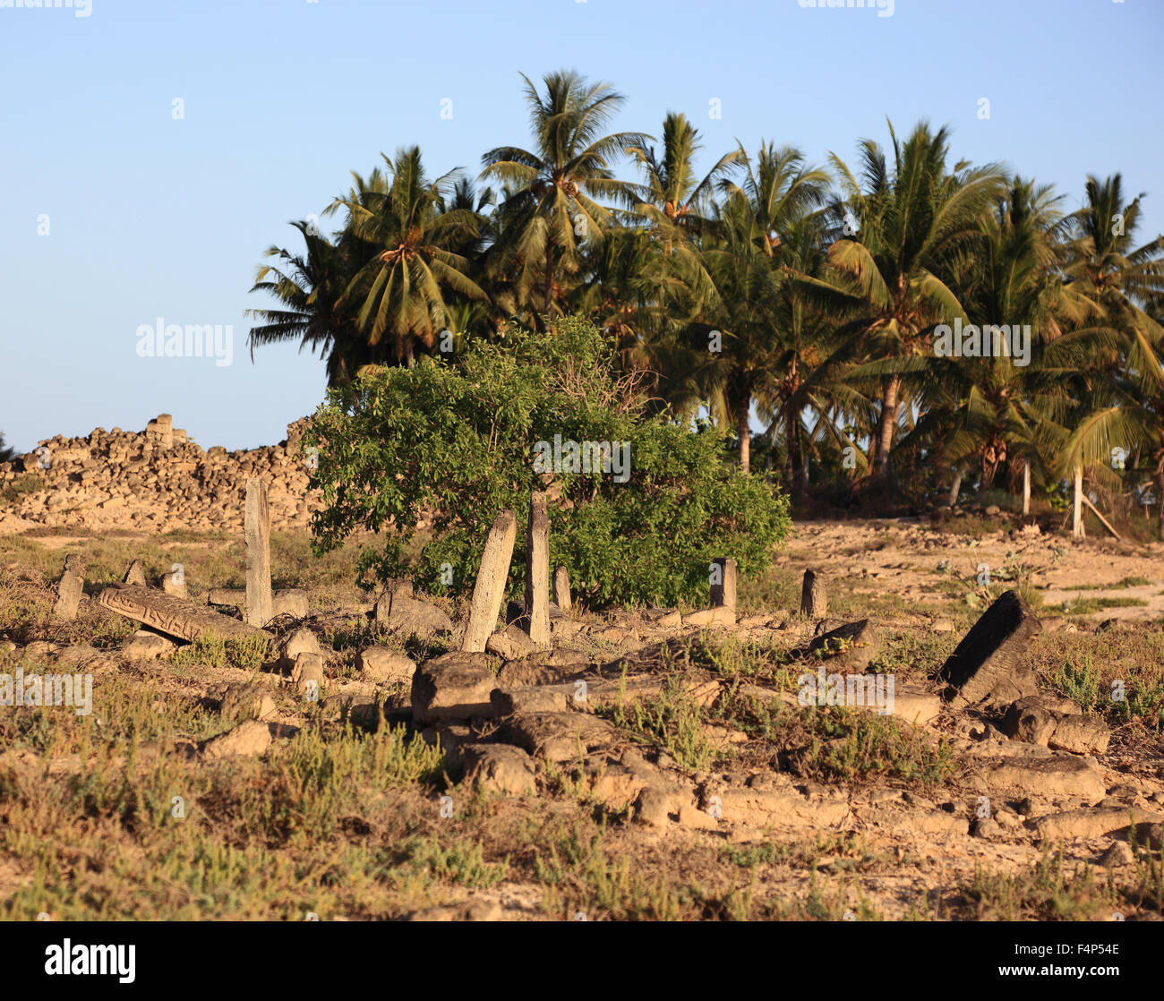 More historically Arabian cemetery in the Al-Baleed excavation field, Unesco world cultural heritage Stock Photo