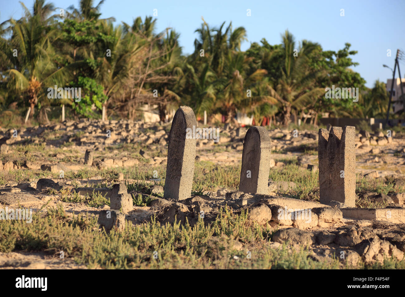 More historically Arabian cemetery in the Al-Baleed excavation field, Unesco world cultural heritage Stock Photo