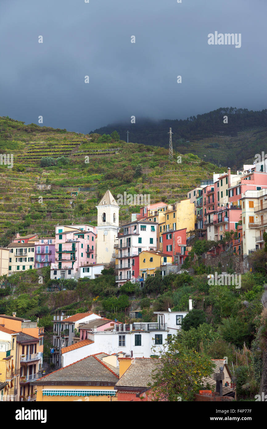 Houses of Manarola, Cinque Terre, Italy Stock Photo - Alamy