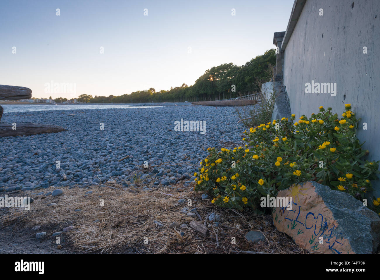 Welcome rock at the entrance to the beach at Ross Bay in Victoria British Columbia Stock Photo