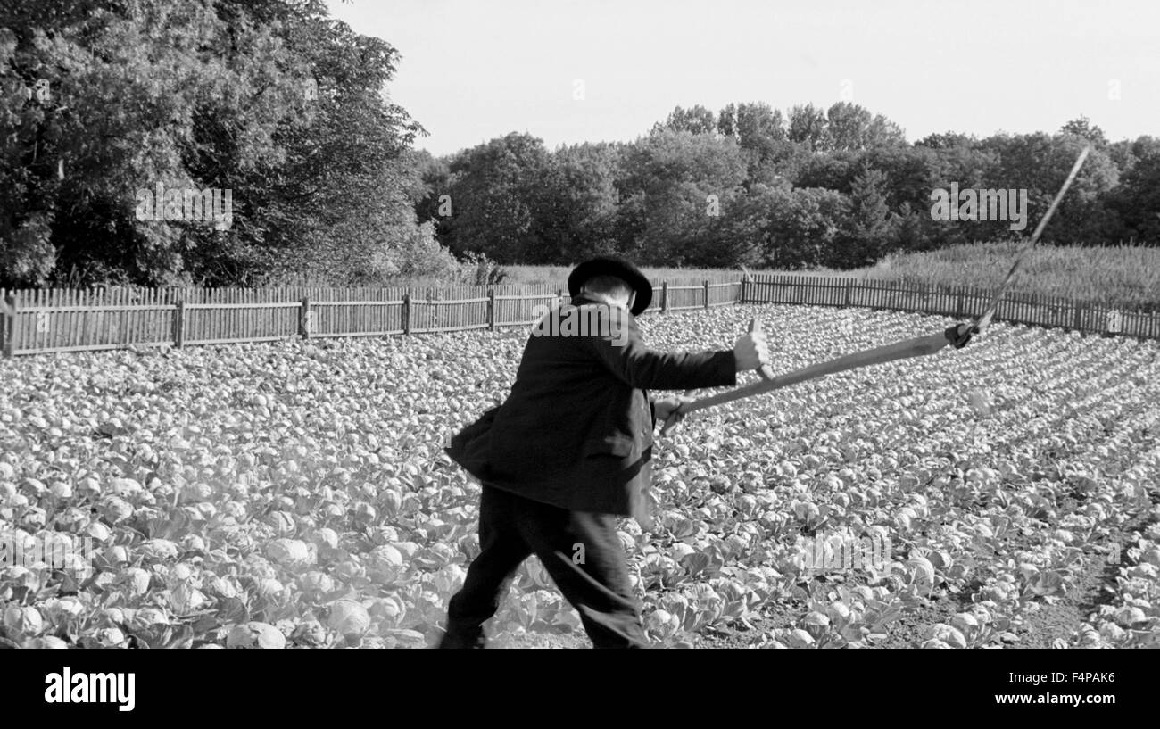The white ribbon film 2009 hi-res stock photography and images - Alamy