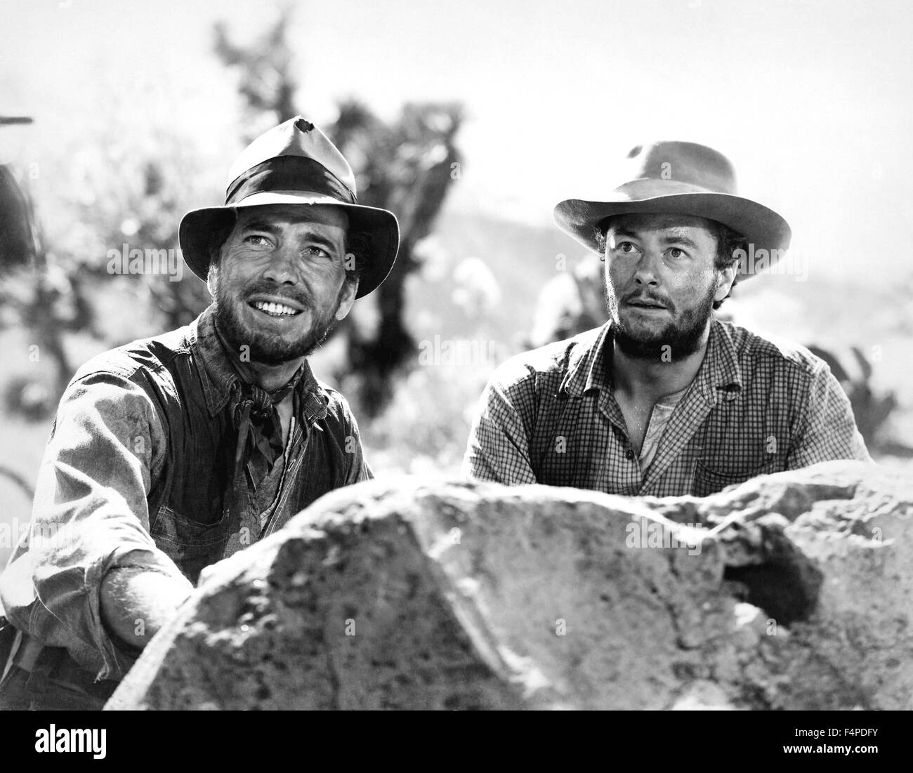 Humphrey Bogart, Tim Holt / The Treasure Of The Sierra Madre 1948 directed by John Huston Stock Photo