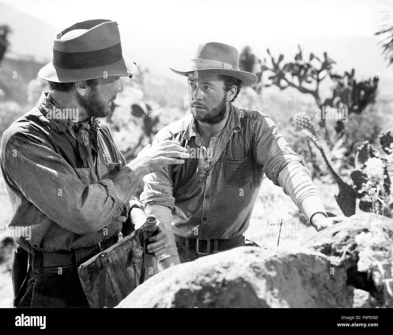 Humphrey Bogart, Tim Holt / The Treasure Of The Sierra Madre 1948 directed by John Huston Stock Photo
