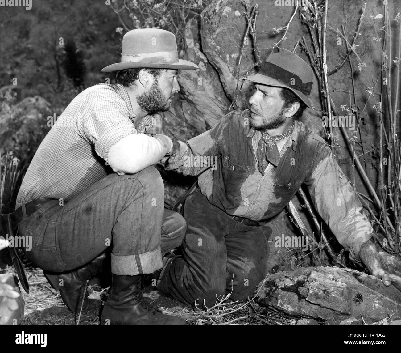 Tim Holt, Humphrey Bogart / The Treasure Of The Sierra Madre 1948 directed by John Huston Stock Photo