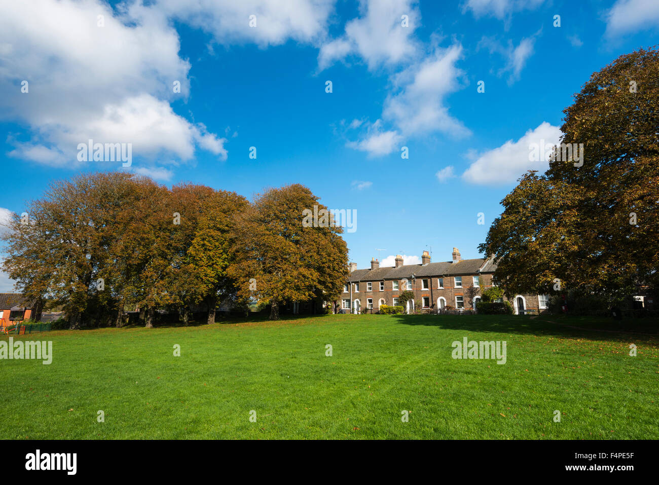 Autumnal colours on the trees of Salisbury Field in Dorchester, Dorset, UK on  a glorious autumn day. Stock Photo