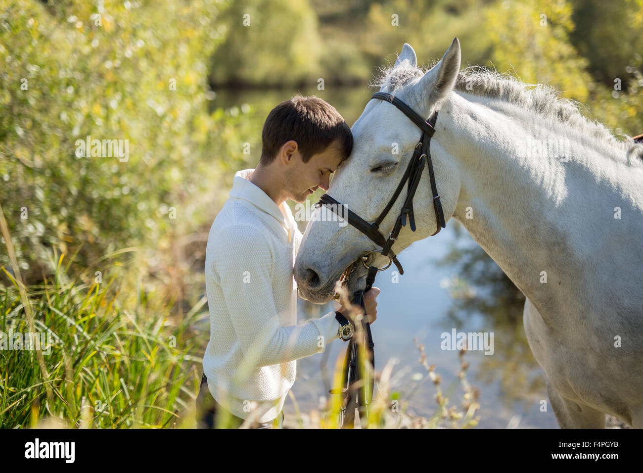 карикатура верхом на лошади. White_horse софья. прикольный конь. He is a horse. He is a horse.
