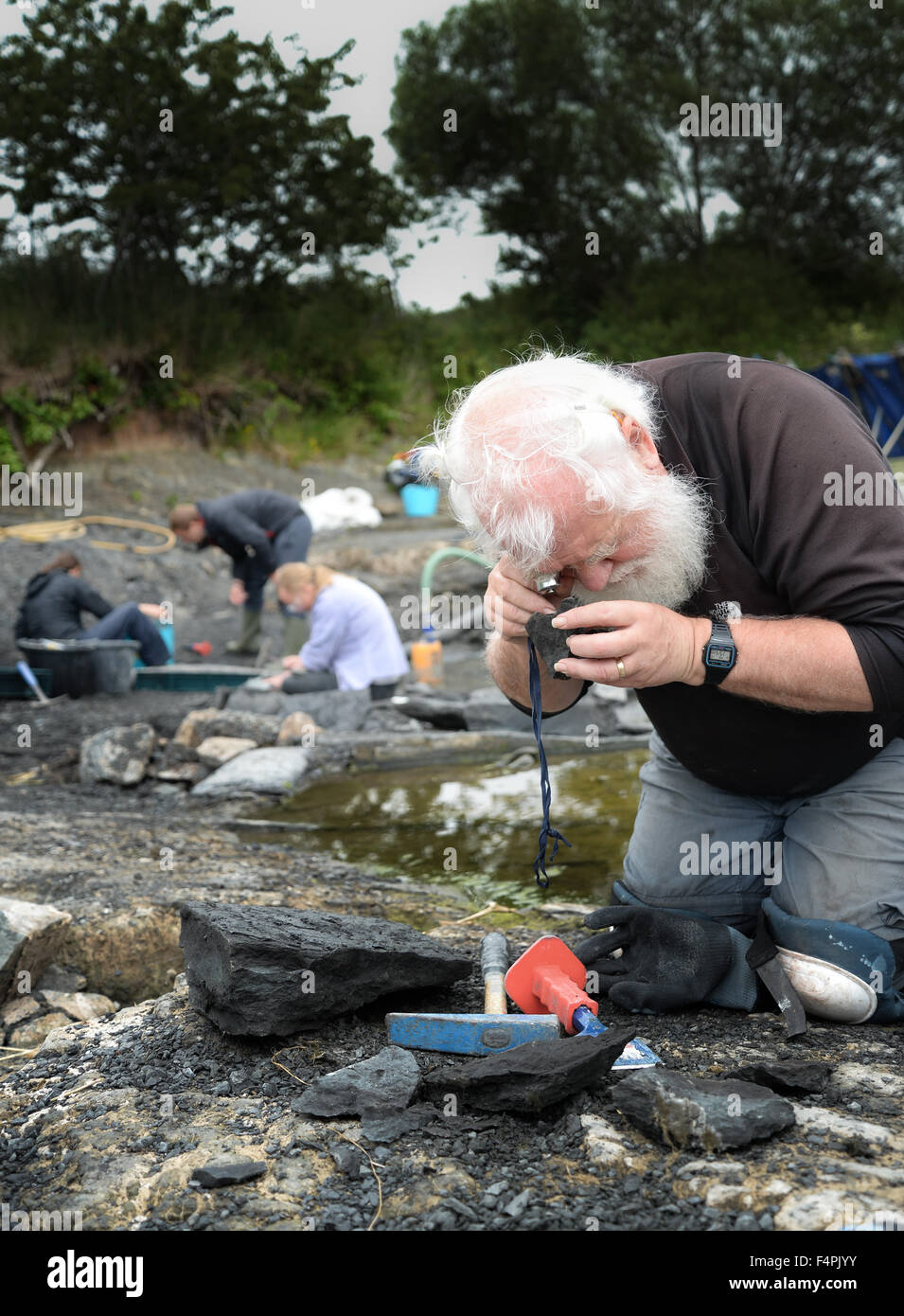 Paleontologists studying finds on the bed of the River Whiteadder in the Scottish Borders. Stock Photo