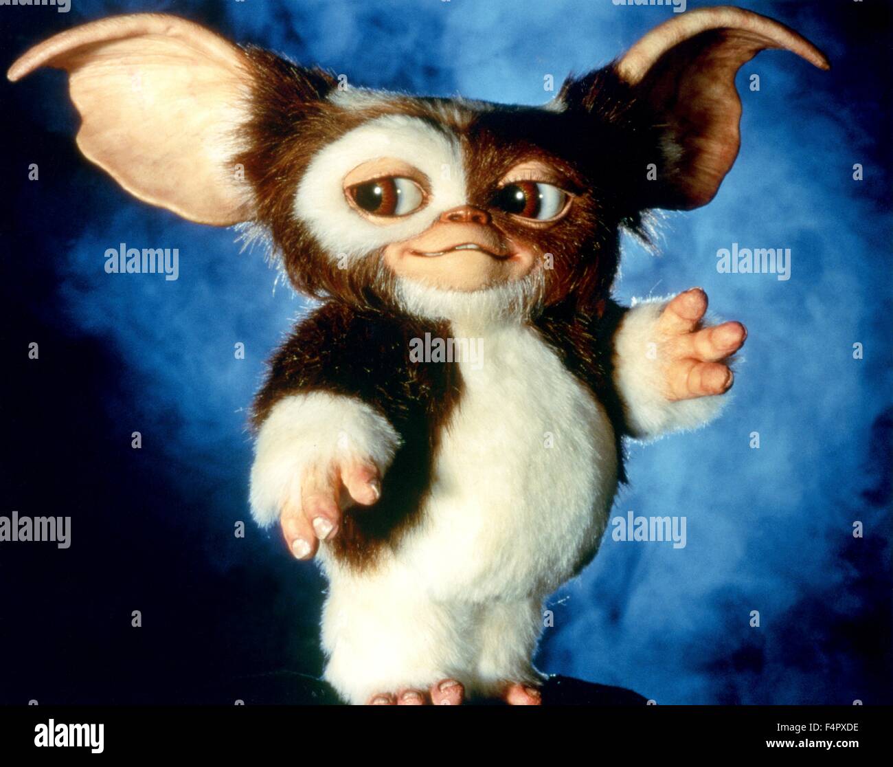 Gremlins / 1984 / directed by Joe Dante / [Warner Bros. Pictures Stock ...