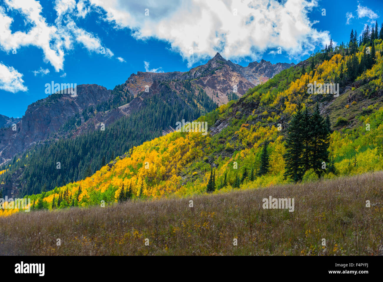 Colorado Fall Foliage near Conundrum Hot Springs Trail Stock Photo Alamy
