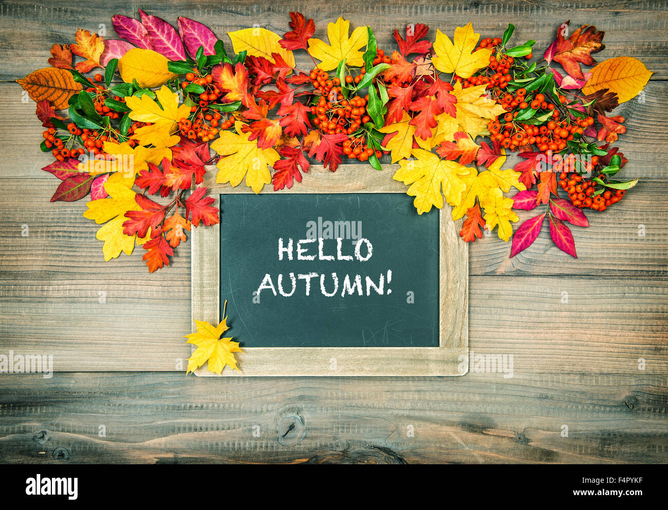 Autumn colorful leaves, berries and blackboard for your text. Wooden texture. Vintage style toned. Sample text Hello Autumn! Stock Photo