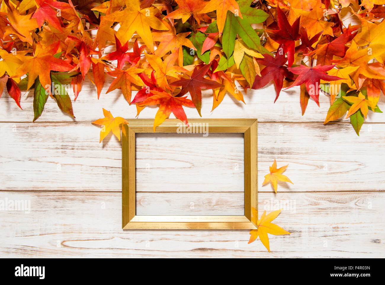 Autumn leaves and golden picture frame over bright wooden background ...