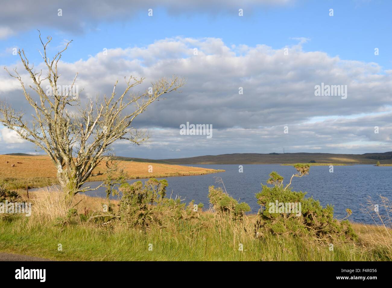 Loch Thom, Clyde Muirshiel Regional Park, Scotland, UK Stock Photo