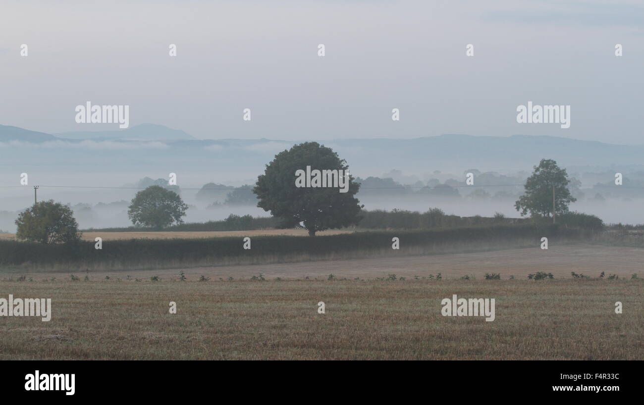 Carse of gowrie scotland hires stock photography and images Alamy