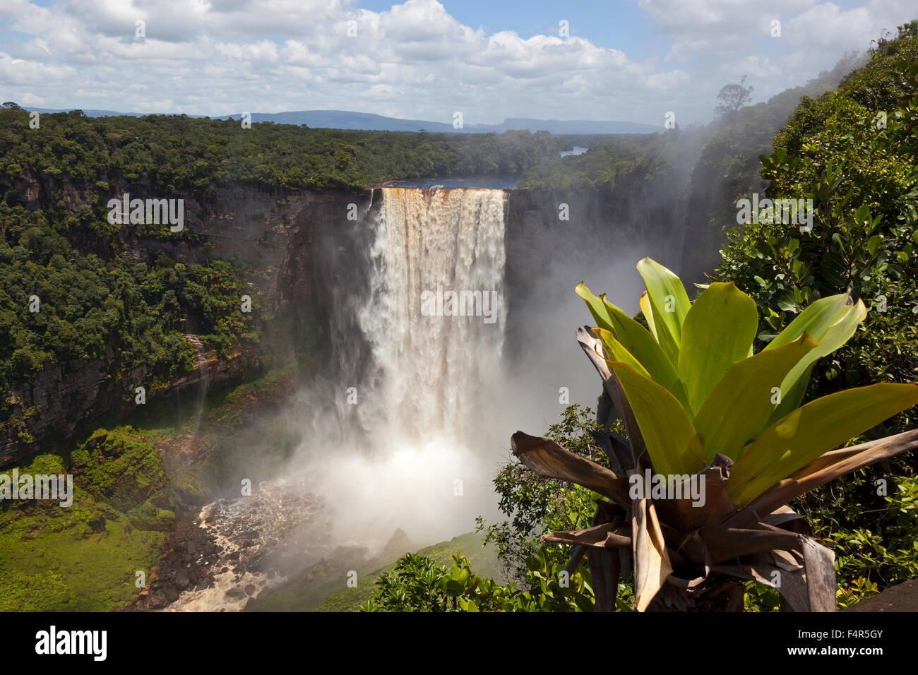 South America, Guyana, Kaietuer Falls, waterfall, waterfalls, 225 meters, chasm, spectacular