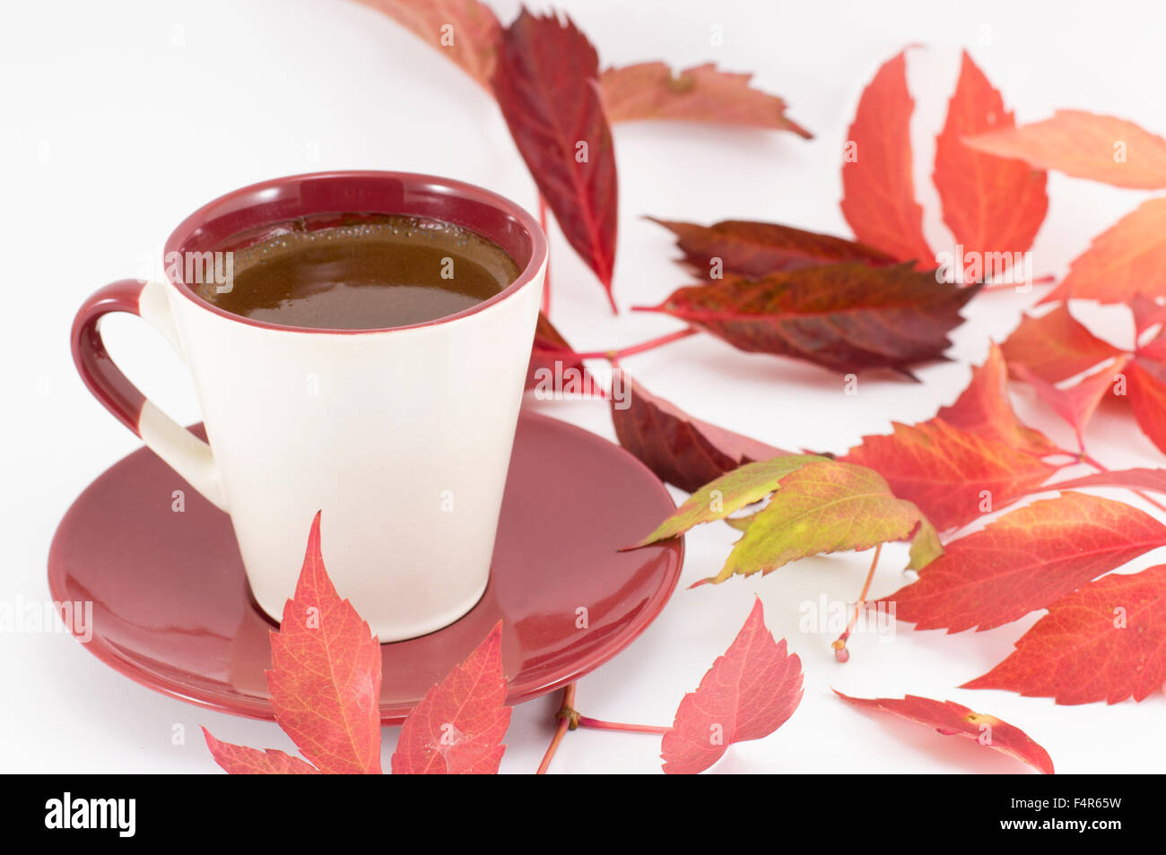 Cup of coffee and red autumn leaves. Fall coffee time Stock Photo