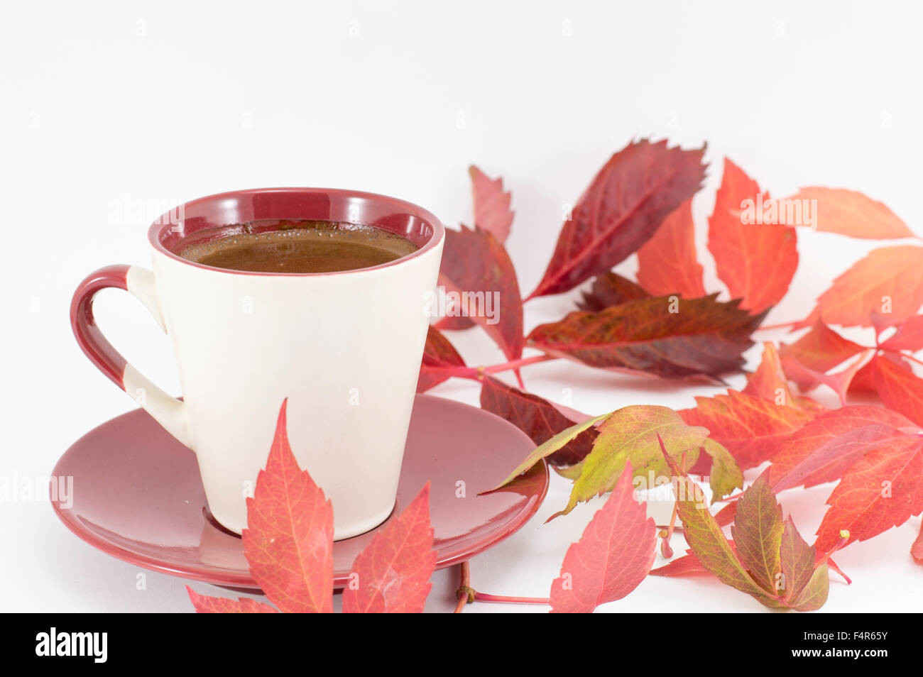 Cup of coffee and red autumn leaves. Fall coffee time Stock Photo