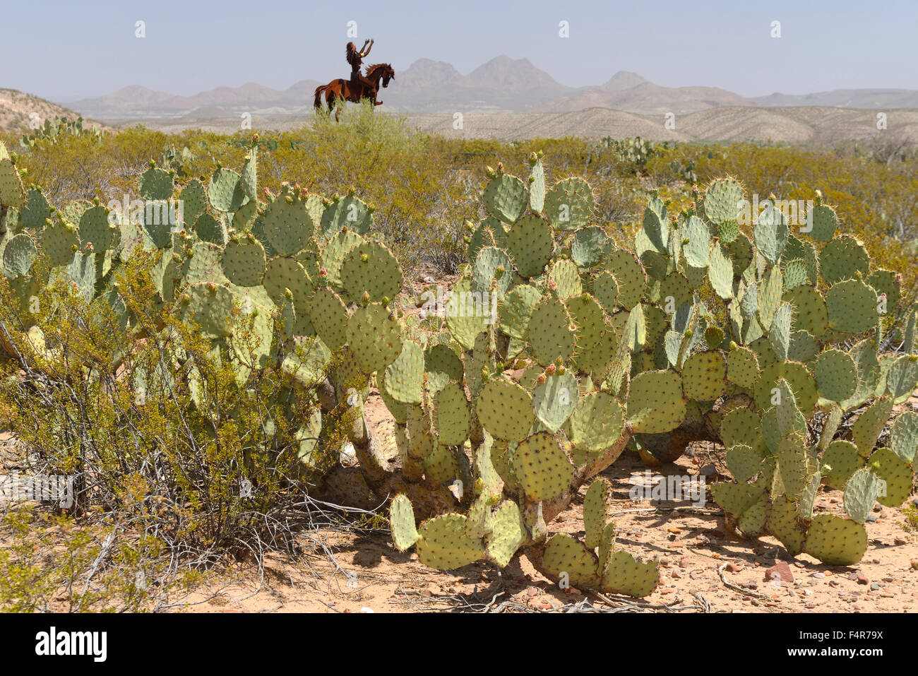 USA, United States, America, Southwest, Arizona, Apache, reservation, San Carlos, sculpture, rider, desert, landscape, prickly p Stock Photo