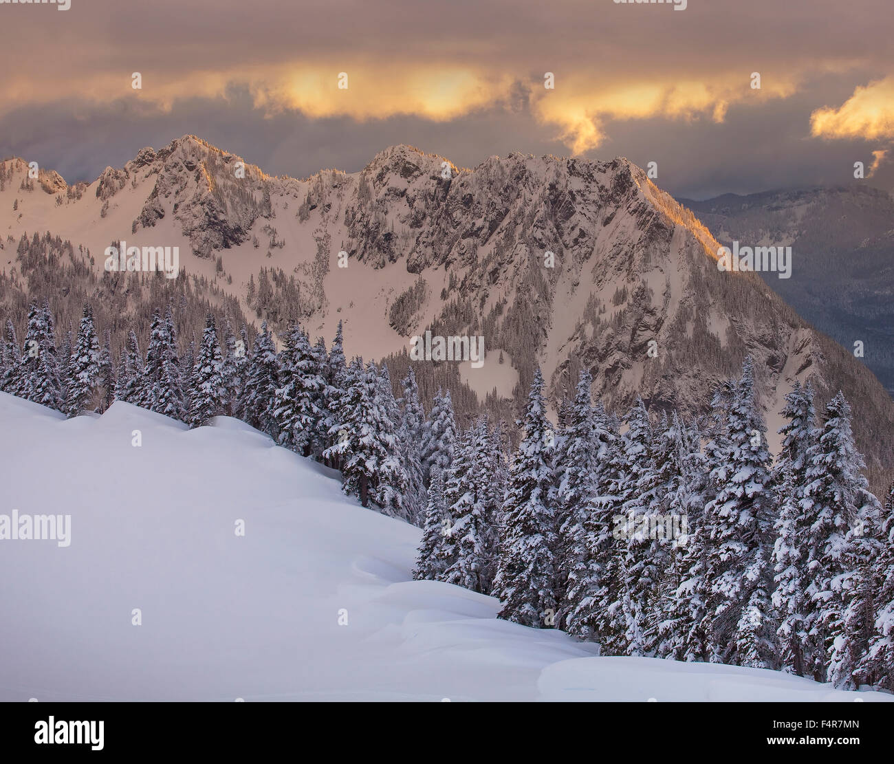 USA, United States, America, Pacific Northwest, Washington, Washington State, Longmire, winter, snow, trees, mountains Stock Photo