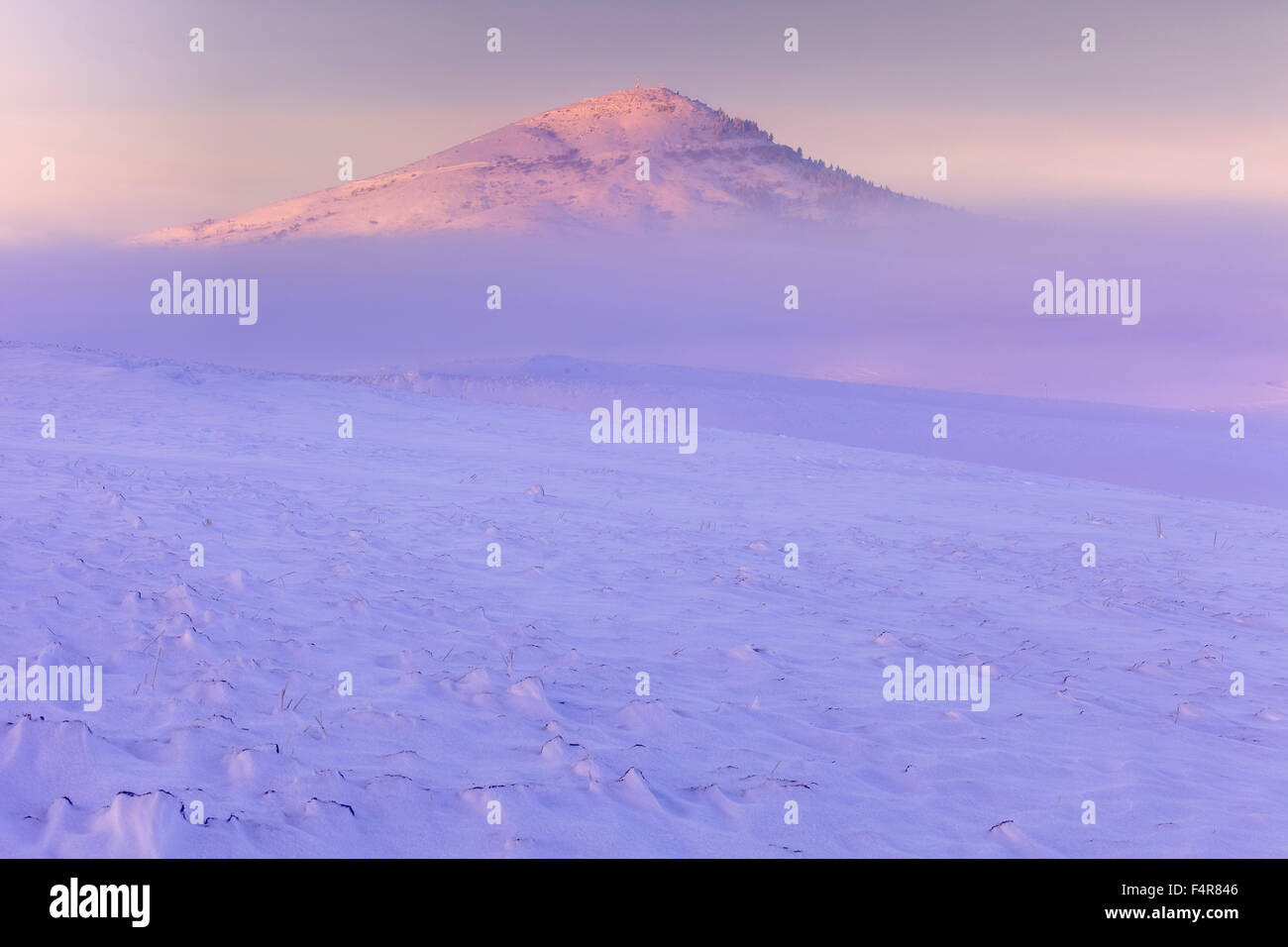 USA, United States, America, Pacific Northwest, Washington, Palouse