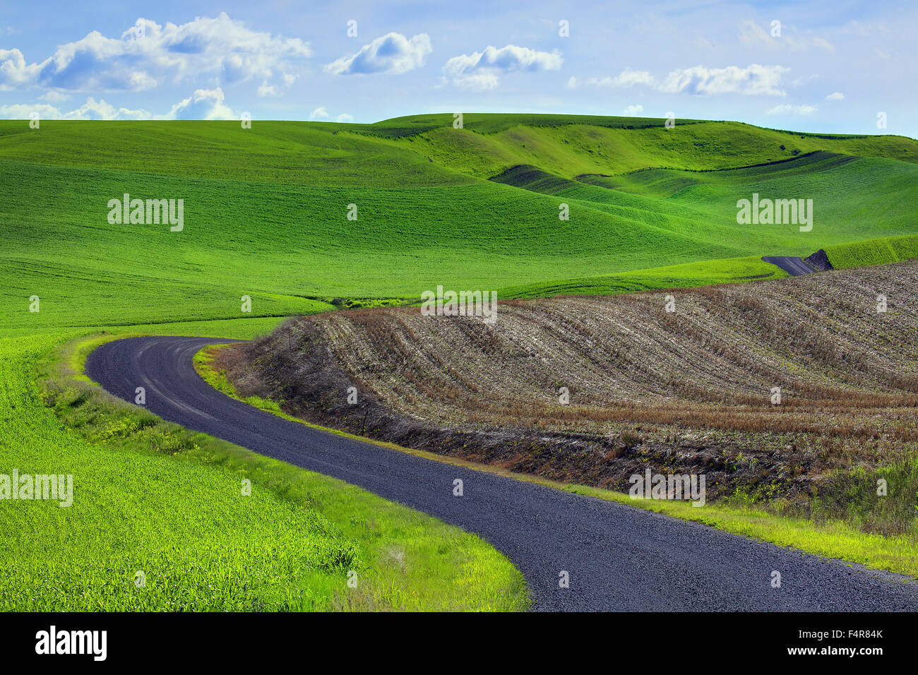 Palouse, rural, farms, road, Steptoe Butte, rolling hills, Spring, Eastern Washington, Washington, Colfax Stock Photo