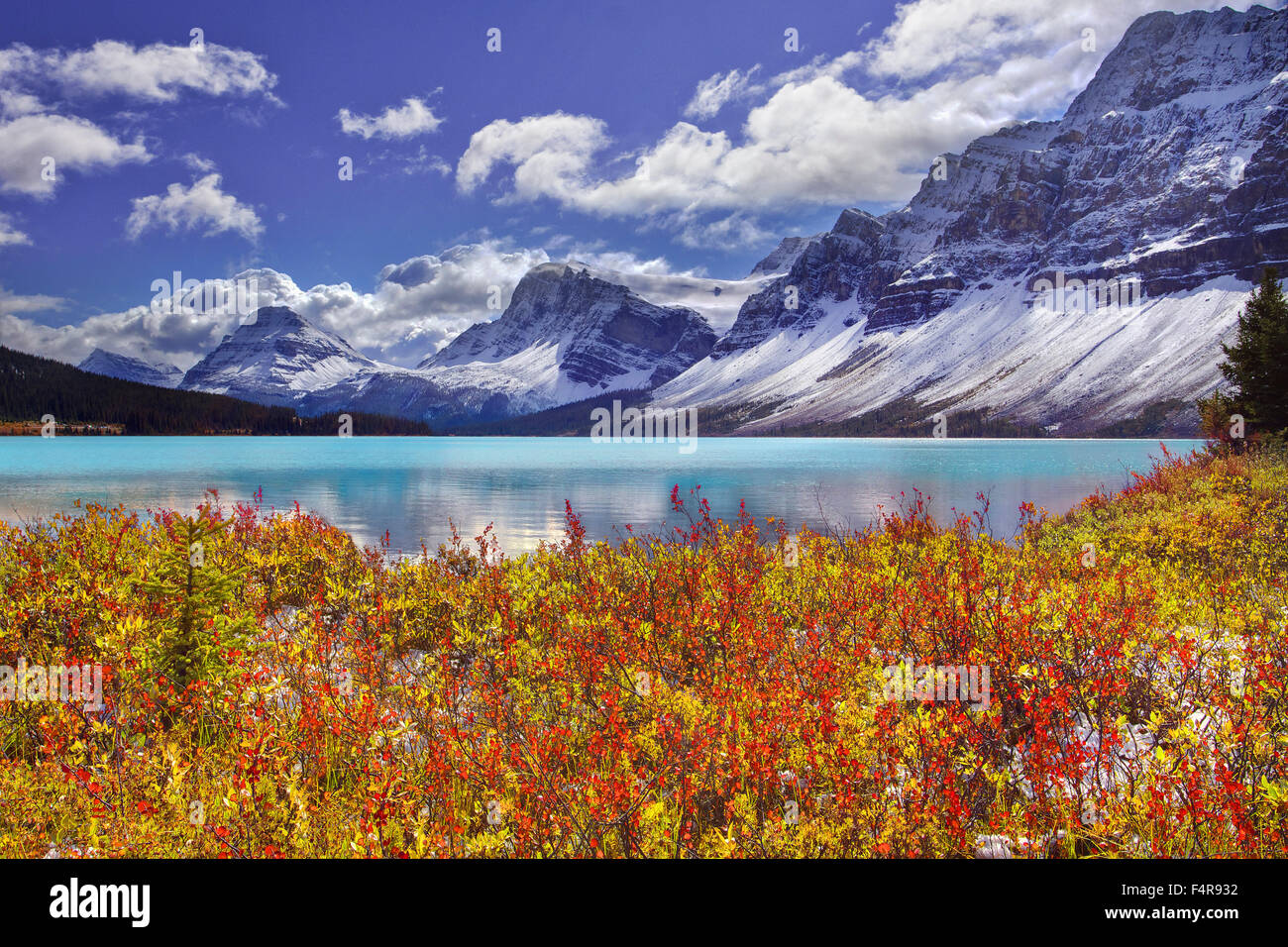 Emerald Lake, Yoho, Jasper, National Park, British Columbia, summer, lake, province, Natural Bridge Canyon, canyonwater, river, Stock Photo