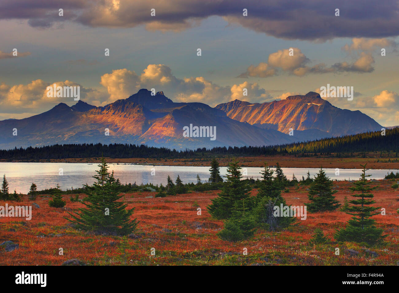 Emerald Lake, Yoho, Jasper, National Park, British Columbia, lake, province, Natural Bridge Canyon, canyonwater, river, rock, ge Stock Photo