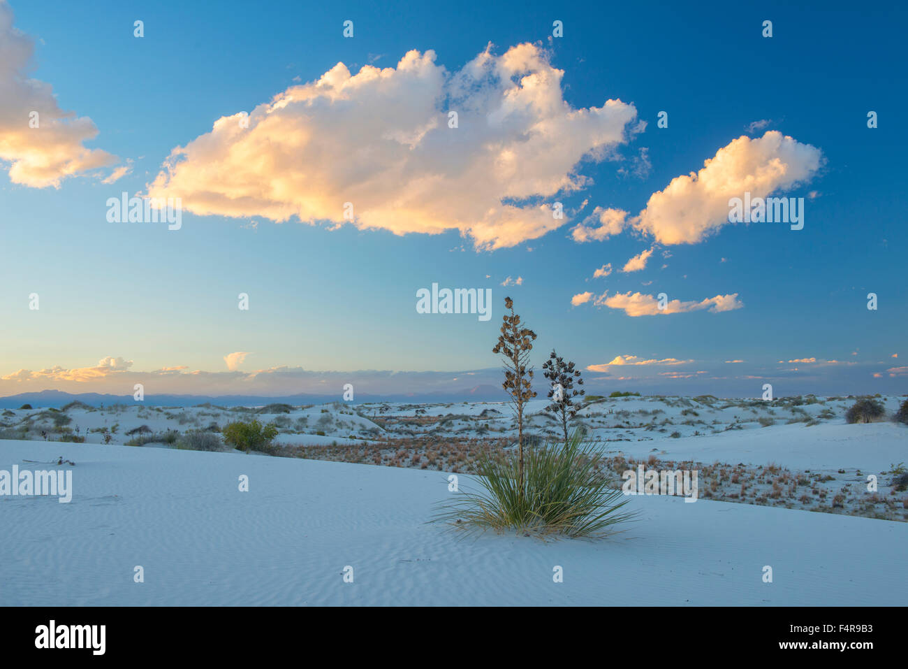 USA, United States, America, Southwest, New Mexico, Otero County, Alamogordo, White Sands, National Monument, park, nature, land Stock Photo