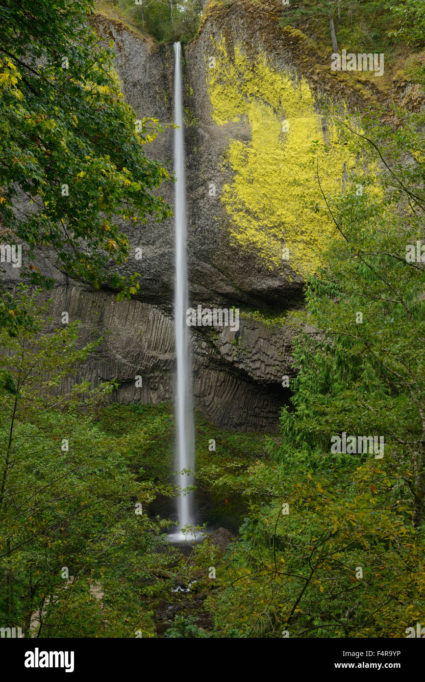 USA, United States, America, West Coast, Oregon, Columbia River Gorge, Bridal Veil Falls, waterfall, Stock Photo