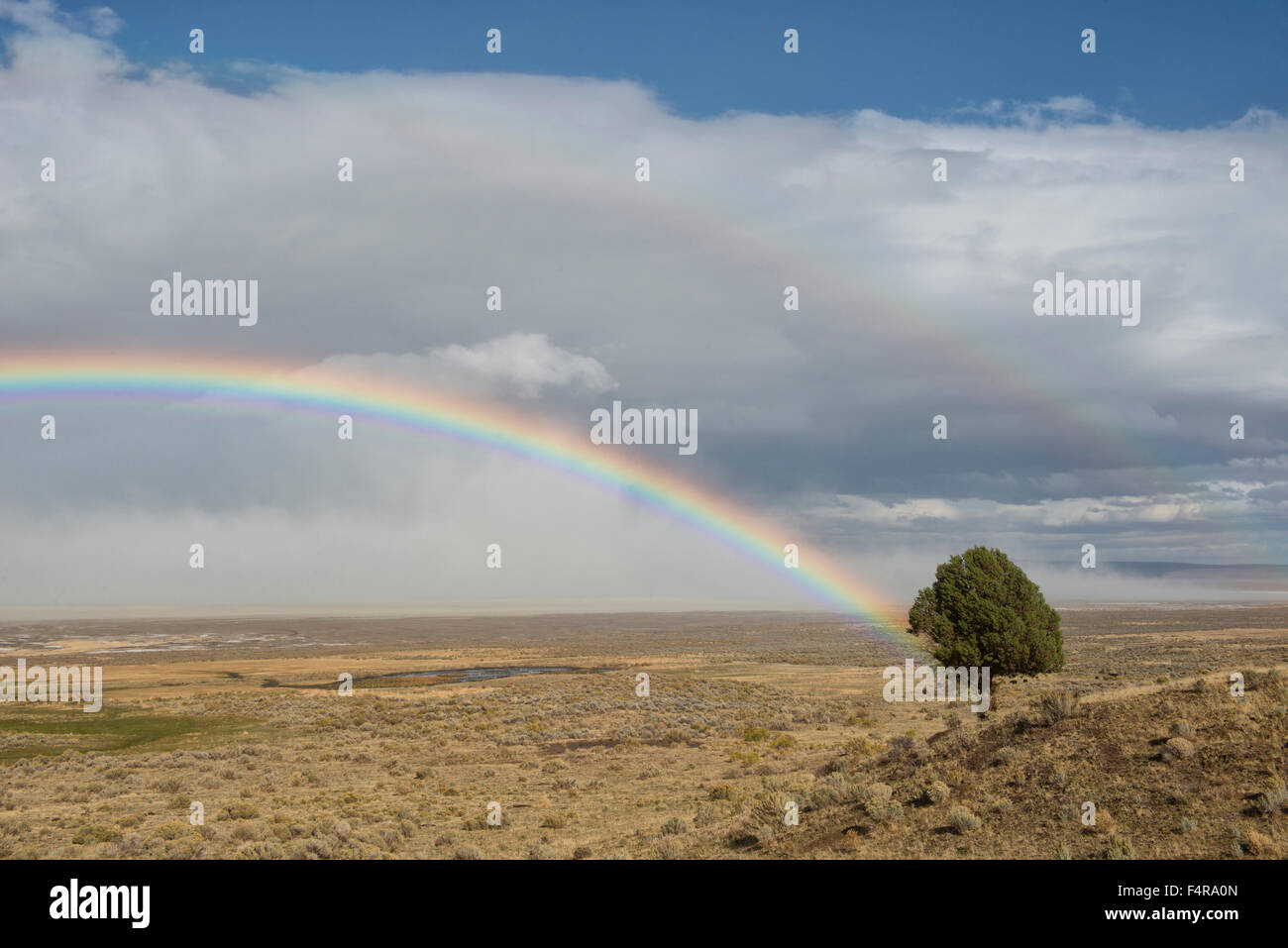 USA, United States, America, Oregon, Summer Lake, High Desert, Central Oregon, Lake County, rainbow, juniper, landscape Stock Photo