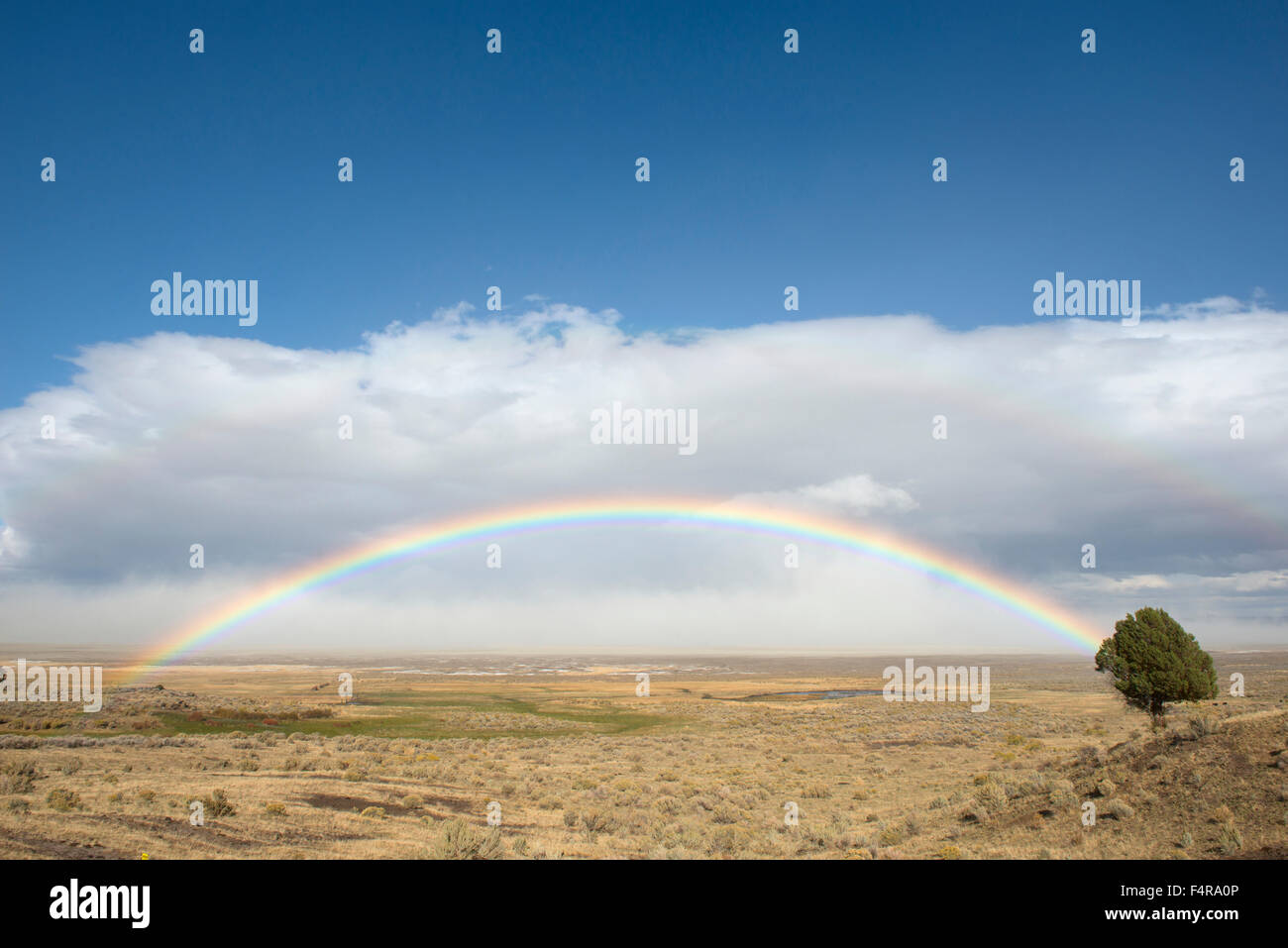 USA, United States, America, Oregon, Summer Lake, High Desert, Central Oregon, Lake County, rainbow, landscape, juniper Stock Photo