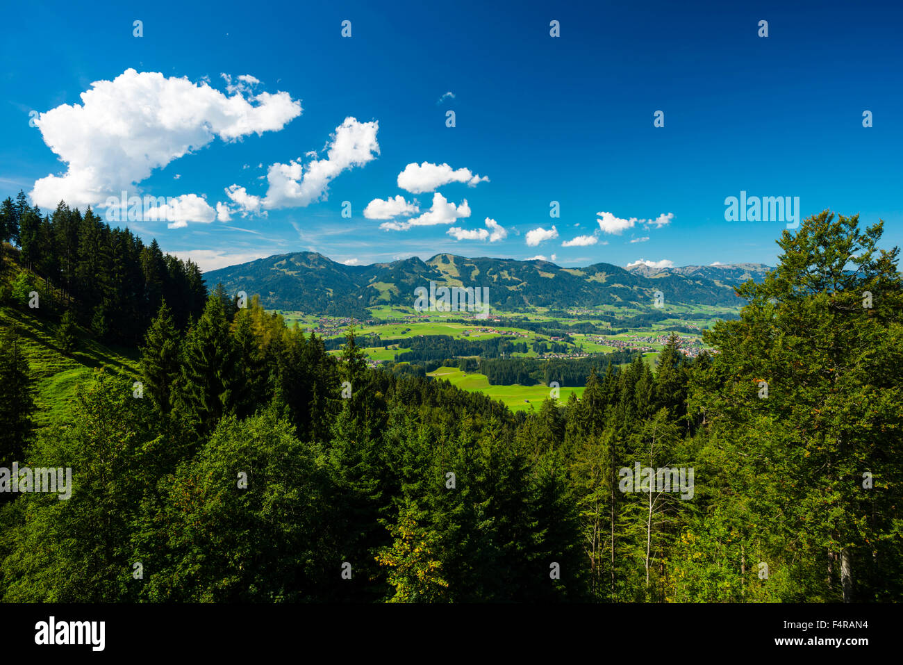 Allgäu, alp scenery, trees, Bavaria, mountains, mountain landscape, village, Europe, Hörnergruppe, Illertal, Oberstdorf, Rubi, S Stock Photo