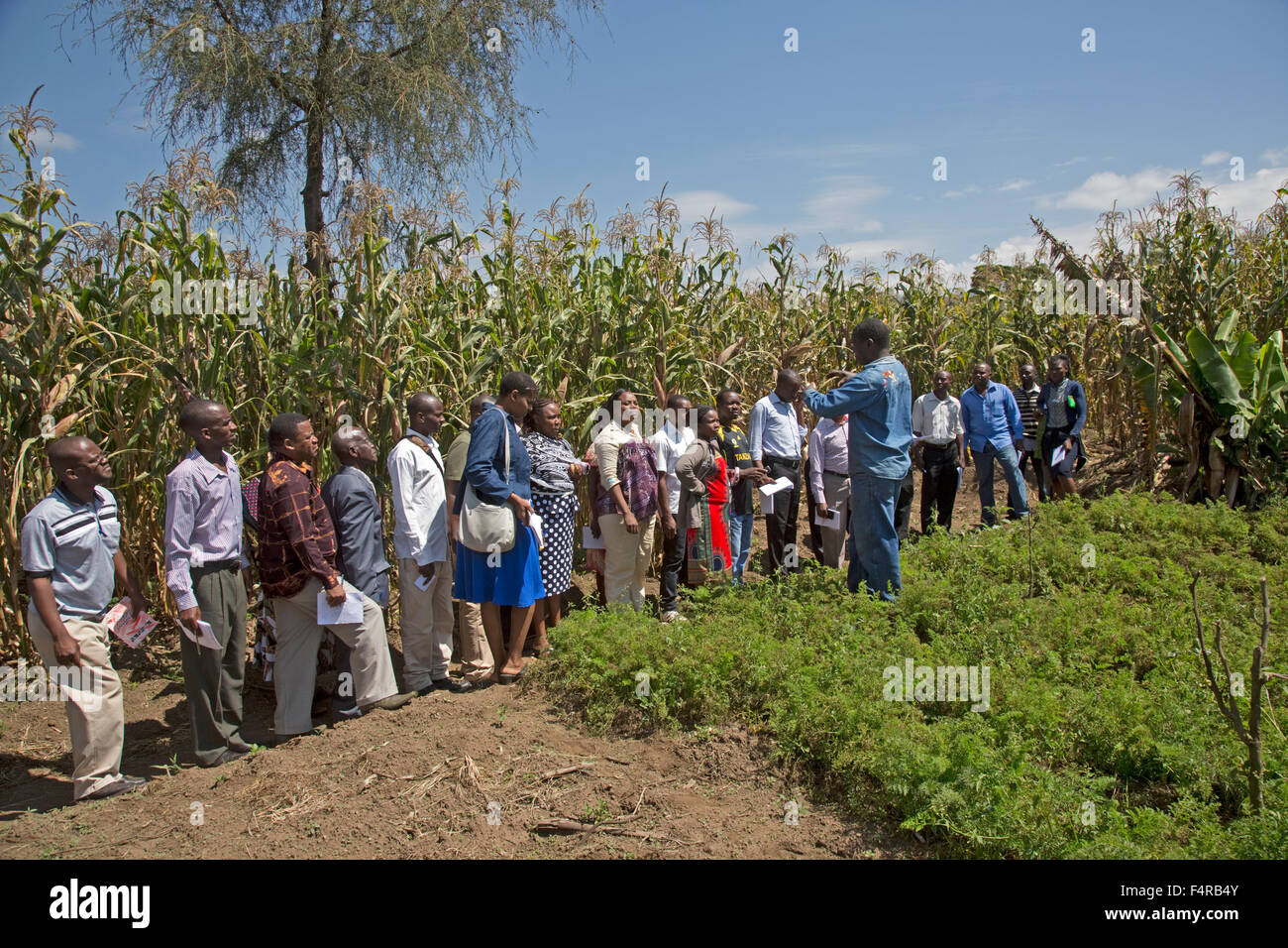 African farmer talking to East African teachers near Elsamere Rift Valley Kenya Stock Photo