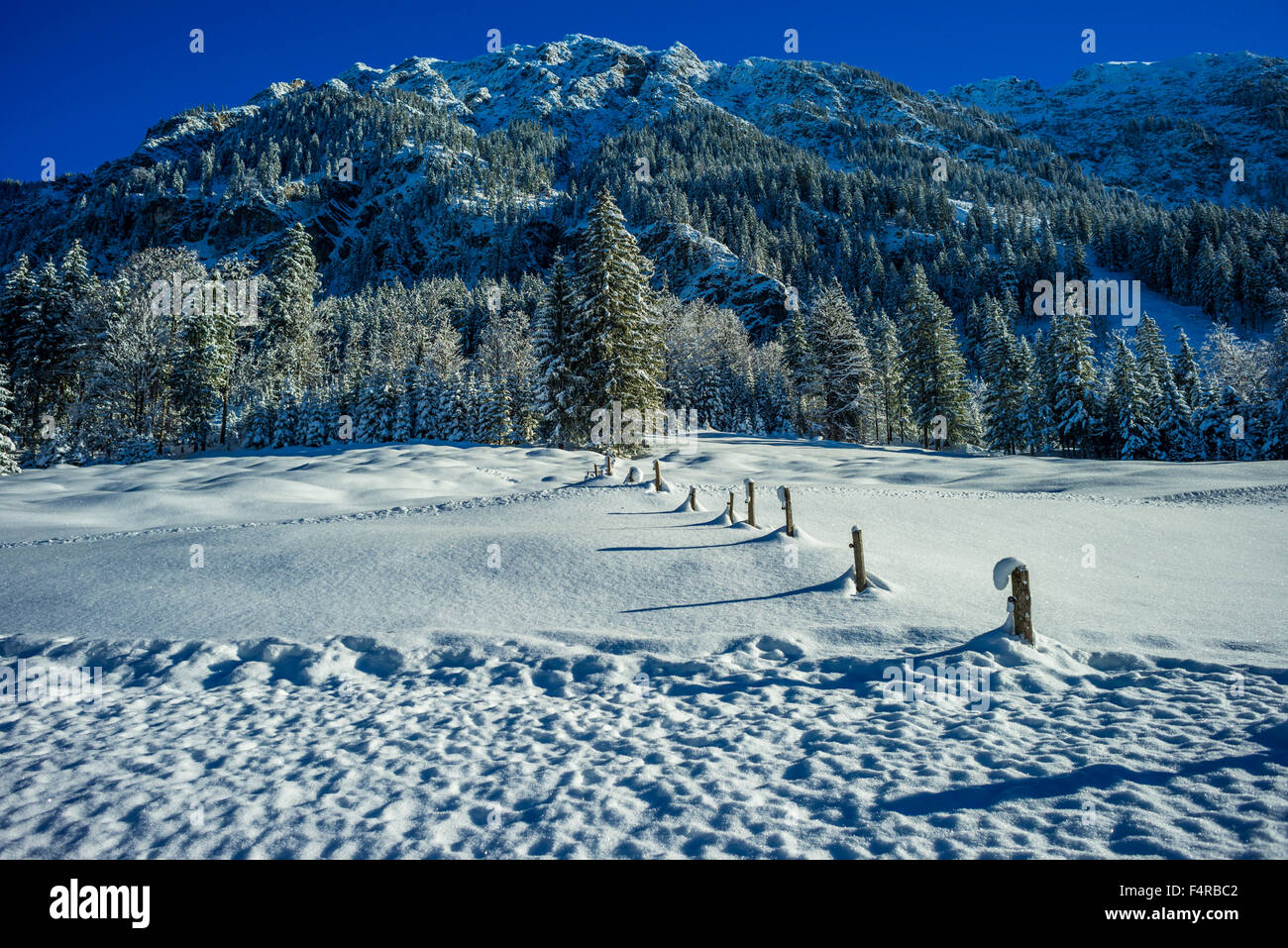 Allgäu, Allgäuer Alpen, Alps, Outside, trees, Bavarian, Germany, Europe, mountains, cold, Oberallgäu, Oberstdorf, snow, snowy, S Stock Photo